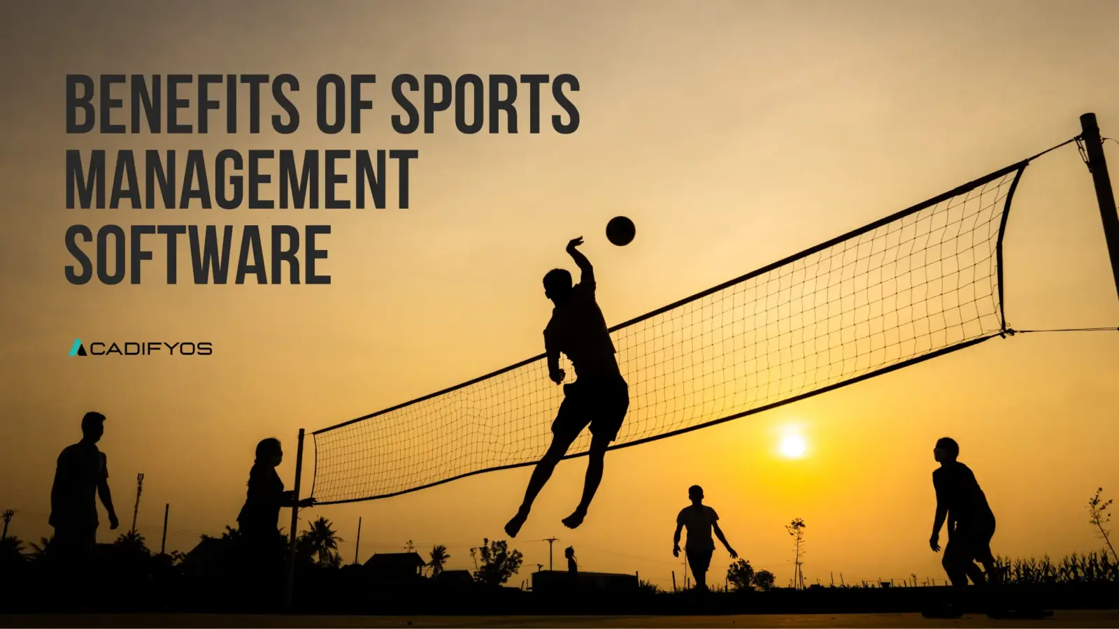 benefits-of-sports-management-software